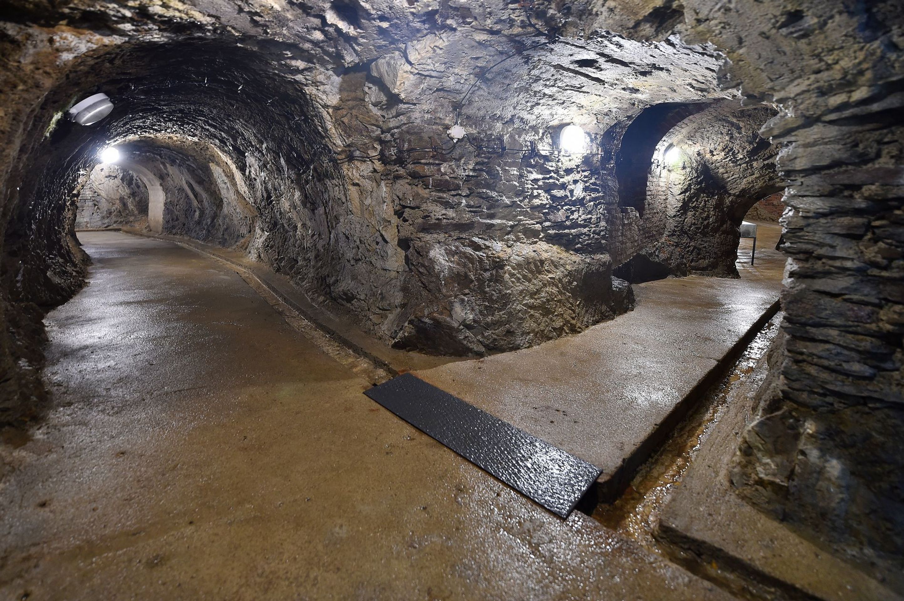 fotka