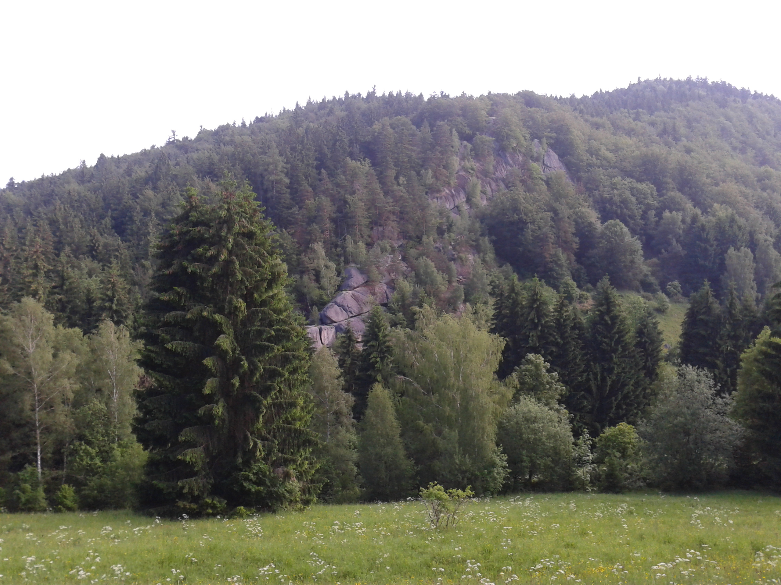 fotka